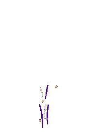 Fireworks Homecoming Sticker by James Madison University