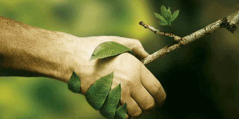 JasSunEdison giphyupload GIF