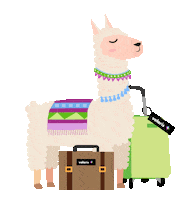 Travel Fly Sticker by Volaris