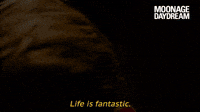 Life Is Fantastic