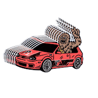 P3 Cars Sticker by P3 Gauges