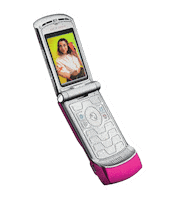 Bru Sticker by Lorenzo Mercanti