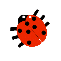 Ladybug Sticker by Luiza Negreiros Dermato