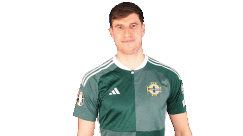 I Choose You Soccer Sticker by Northern Ireland