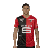 Ligue 1 Football Sticker by Stade Rennais F.C.