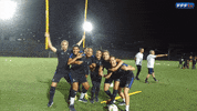 fun joie GIF by Equipe de France de Football