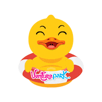 Fun Lol Sticker by VenturaPark Cancun