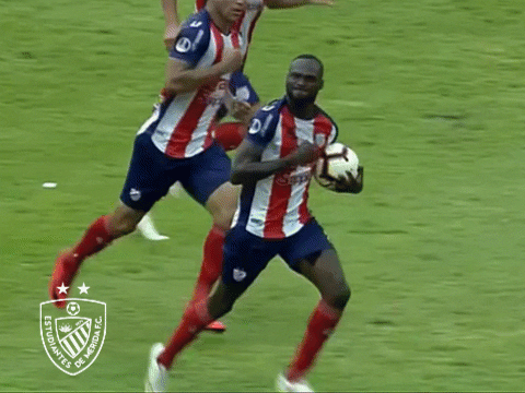 emfc giphyupload gol conmebol sudamericana GIF