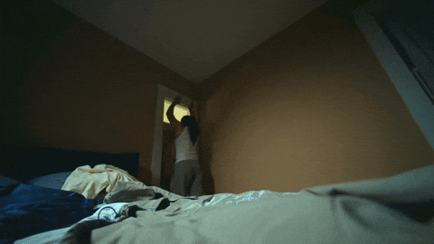 GIF by Domani