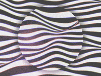 black and white art GIF by Morena Daniela