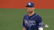 major league baseball 2019 mlb regular season GIF by MLB