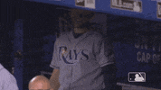 major league baseball sport GIF by MLB
