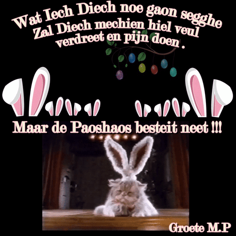 de paoshoas besteet neet GIF