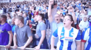 latics wafc GIF by Wigan Athletic