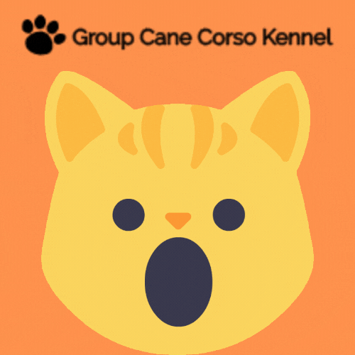 groupcanecorsokennel groupcanecorsokennel group cane corso kennel GIF