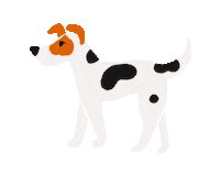 Jack Russell Dog Sticker by Emily Redfearn