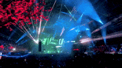 music festival dance GIF by Insomniac Events