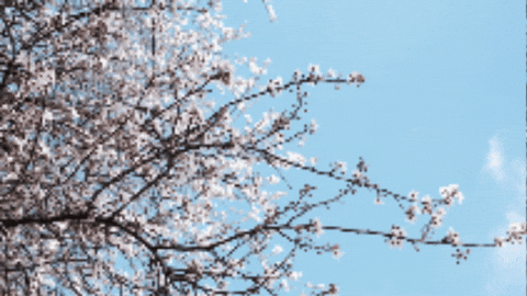 GIF by Tedworth