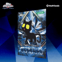 Collect Black Cat GIF by VeeFriends