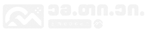 Georgia Mta Sticker by MtaSki