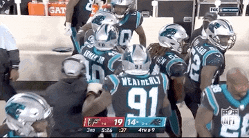 Carolina Panthers Football GIF by NFL