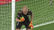 Angry Melbourne City GIF by Hyundai A-League
