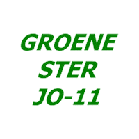Heerlen Sticker by Groene ster