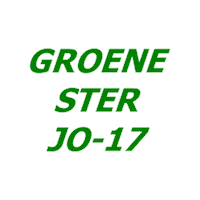 Heerlen Sticker by Groene ster