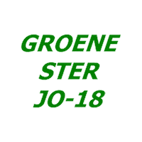 Heerlen Sticker by Groene ster