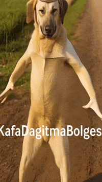Kangal Huseyin GIF