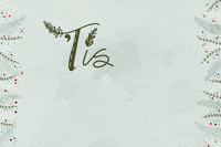 Christmas Festiveseason GIF