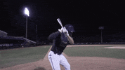 East Carolina Pirates GIF by ECU Athletics