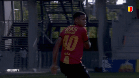 yrkvmechelen giphyupload scream miss frustratie GIF