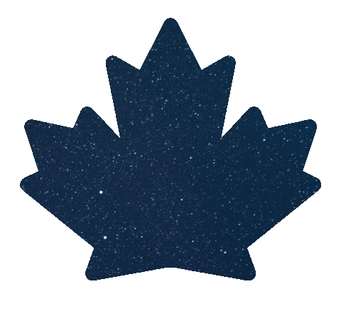 Our Petro Stars Sticker by PetroCanada