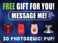 Pettumblefree GIF by Pettumble.com