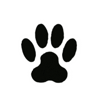 Coussinets Sticker by Papier Tigre