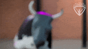 allroundchampiontv olympics gymnastics athletics athlete GIF