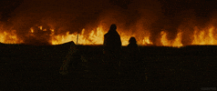 viggo mortensen film GIF by Tech Noir