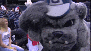 excited big east GIF by BIG EAST Conference