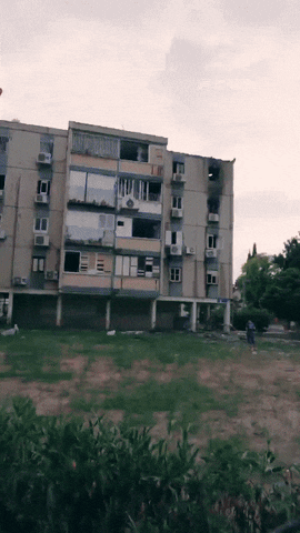 gabogonzaleza giphyupload GIF