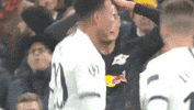 Champions League Football GIF by UEFA