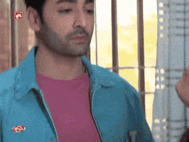 Danish GIF