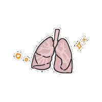 Studygramwithferlibretas kinesiologia kine studygramwithfer Sticker
