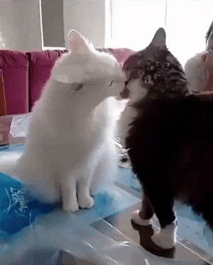 GIF by Demic