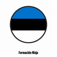 Flag Bandera GIF by Formación Ninja