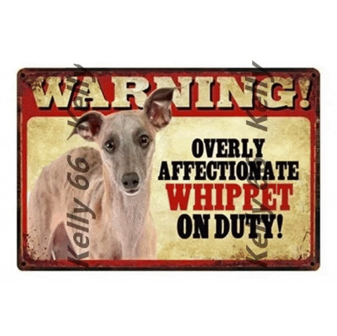 iLoveMyPet giphygifmaker whippet gifts warning overly affectionate whippet on duty tin poster whippet on duty tin poster GIF