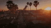 ZachBrandon music vibes la california GIF