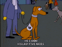 Season 1 GIF by The Simpsons