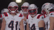 Football Nfl GIF by New England Patriots