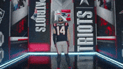 Football Smile GIF by New England Patriots